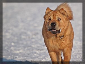 Laufgesichter 1 300Compressed _0006.jpg