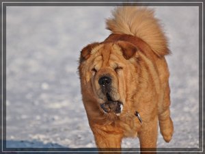 Laufgesichter 2 300Compressed _0007.jpg