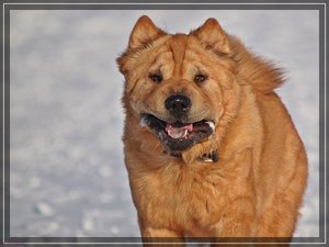 Laufgesichter 3 300Compressed _0008.jpg