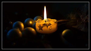 SDIM6598_1-2_filtered_hf Kopie.jpg