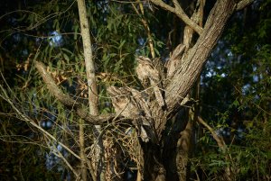 1500_oRDSC01167.jpg 1500_oRDSC01167.jpg