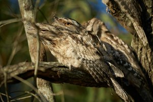 1500_oRDSC01188.jpg 1500_oRDSC01188.jpg