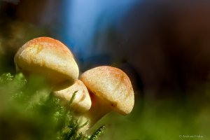 2020-11-09 07-29-07 (C,Smoothing4)-Bearbeitet.jpg