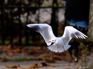 P1076107.jpg P1076107.jpg