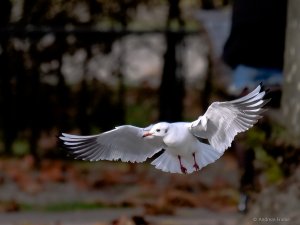 P1076108.jpg P1076108.jpg