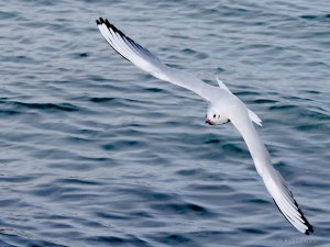 P1076262.jpg P1076262.jpg