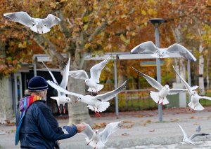 P1076991.jpg P1076991.jpg