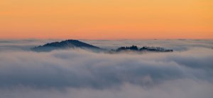 Insel im Nebelmeer.jpg