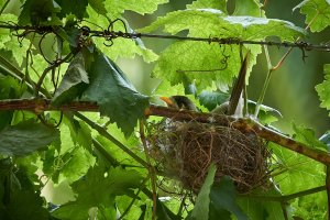 1500_oRA6506280.jpg 1500_oRA6506280.jpg