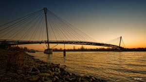 Kehl Rhein 10.01.jpg