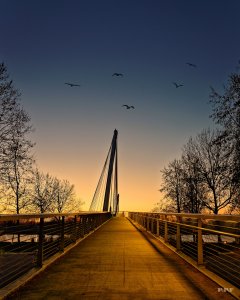 Kehl Rhein2 10.01_openWith.jpg