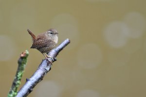 comp_8.jpg comp_8.jpg