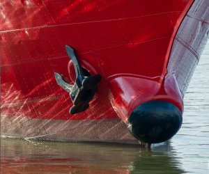 _DSC4080 1117x929.jpg