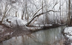 XH1F2769_stitch 1.jpg