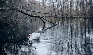 XH1F5271.jpg XH1F5271.jpg