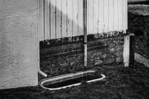 For DSC07544jjipsdlumtonvinfirpho Nex5r + Pancolar Zebra 1,8 50mm (c) PPf.jpg