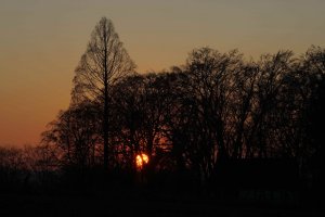 BF DSC07804 Nex5r + FDn 4,0 80-200mm (c) PPf.jpg