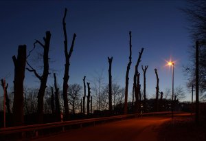 BF DSC07813jipsfpsdcr Nex5r + Super Albinar 2,8 28mm (c) PPf.jpg