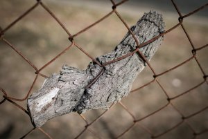 1500_oR7R201490-Bearbeitet.jpg 1500_oR7R201490-Bearbeitet.jpg