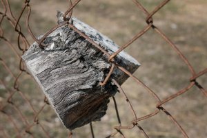 1500_oR7R201503-Bearbeitet-Bearbeitet.jpg 1500_oR7R201503-Bearbeitet-Bearbeitet.jpg