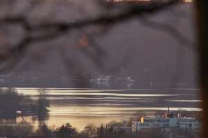 bf DSC07903 Nex5r + Viv 5,6 400mm (c) PPf.jpg