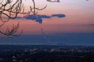 bf DSC07913Dxo tw evening Nex5r + AluSonnar 4,0 135mm (c) PPf.jpg