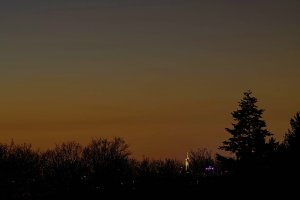 bf DSC07940Dxo psf mix Nex5r + AluSonnar 4,0 135mm (c) PPf.jpg