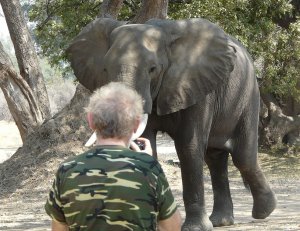 Sigi- Mana Pools.jpg