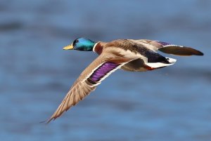 03.22 (12).JPG 03.22 (12).JPG