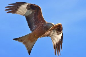 03.22 (19).JPG 03.22 (19).JPG