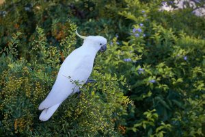 1500_oRA6506496.jpg 1500_oRA6506496.jpg