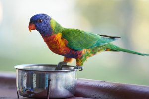 1500_oRA6506506.jpg 1500_oRA6506506.jpg