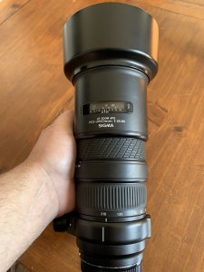 IMG_2552.jpeg IMG_2552.jpeg