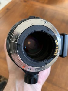 IMG_2554.jpeg IMG_2554.jpeg