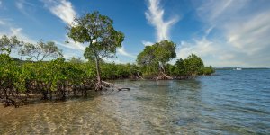 1600 oR7R201895_Lu.jpg 1600 oR7R201895_Lu.jpg