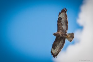 DSC_6053.jpg DSC_6053.jpg