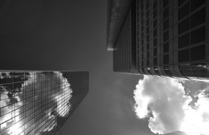 XT2D0213 2.jpg XT2D0213 2.jpg