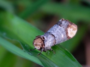 DSCF3477-a.jpg DSCF3477-a.jpg