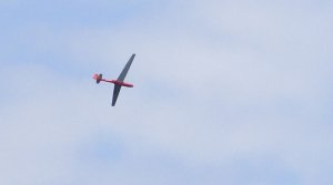 Segelflieger rot.jpg