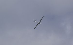 Segelflieger.JPG