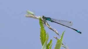 Cloppenburg Spaziergang_IMG_9842()-20210630.jpg