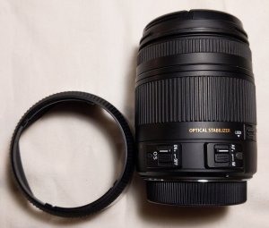 Sigma18-250-2.jpg