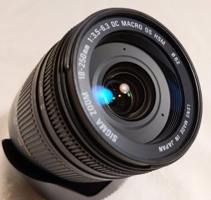 Sigma18-250-3.jpg