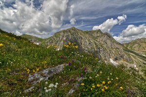 comp_IMG_9462.jpg comp_IMG_9462.jpg