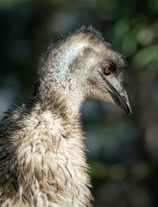 1600 oR7R202229-Bearbeitet.jpg 1600 oR7R202229-Bearbeitet.jpg