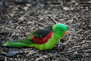 1600 oR7R202159-Bearbeitet.jpg 1600 oR7R202159-Bearbeitet.jpg