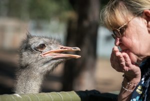 1600 oR7R202189.jpg 1600 oR7R202189.jpg