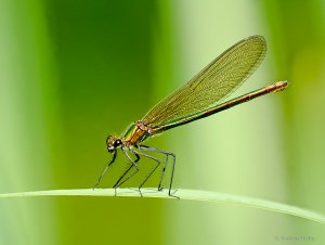 2021-07-21 21-06-11 (B,Radius10,Smoothing4)-2.jpg