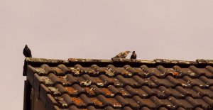 DSC01425.jpg DSC01425.jpg