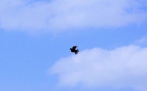 DSC01427.jpg DSC01427.jpg